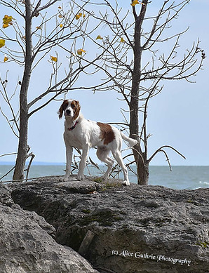 1-Nella-rocks_6724.jpg