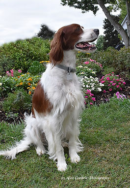 1-Nella-7x5_2693.jpg