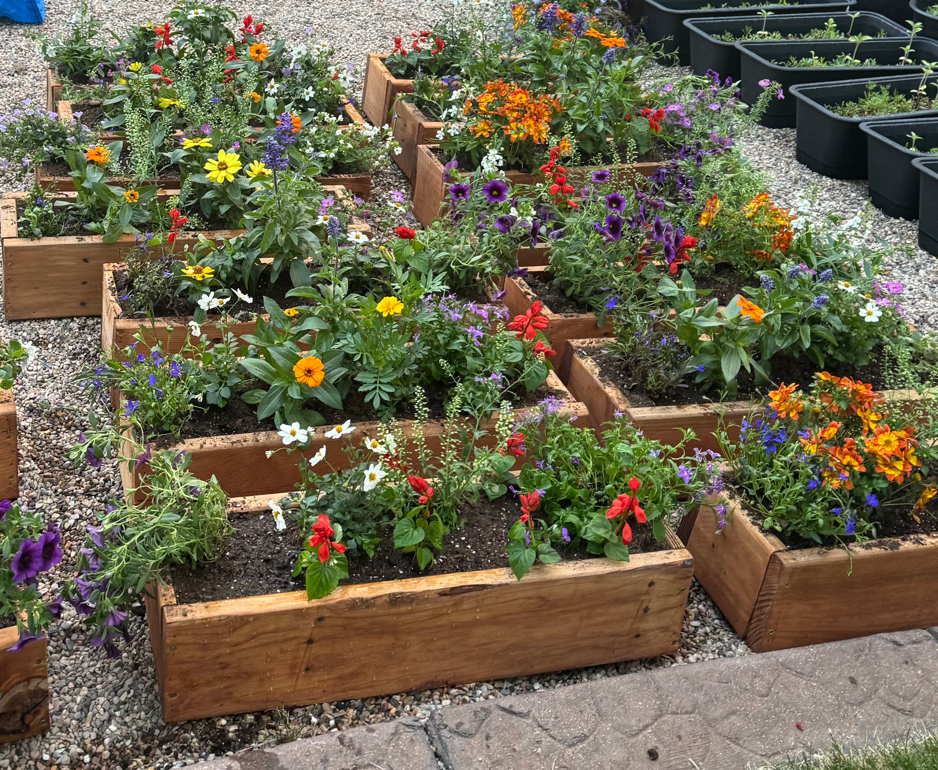Planter Box