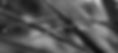 L1031142.jpg