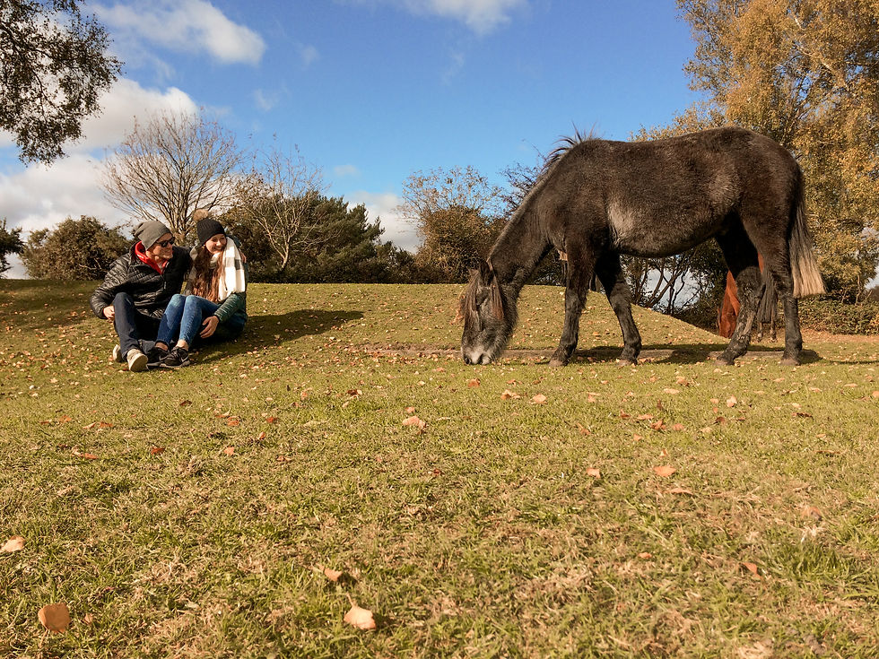Rok 2019 plný cestování a jeden z těch nejkrásnějších