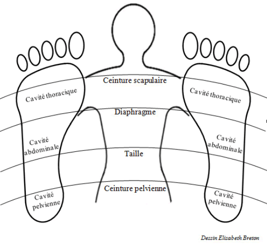 syndrome prémenstruel et réflexologi