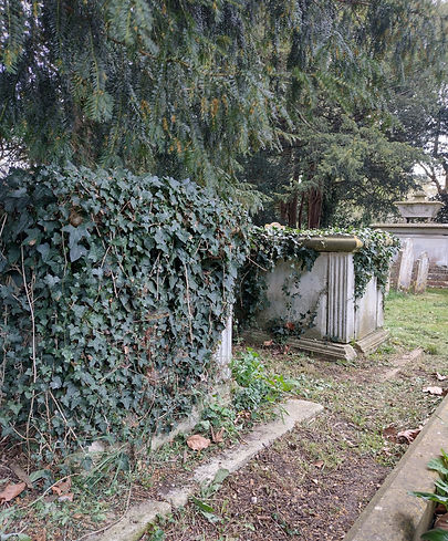 Ivy and monuments.jpg