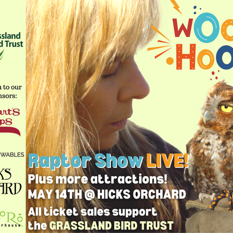 Copy of Final GBT 2022 Poster  8.5x11 (Facebook Event Cover) (19.999 × 15 in).png