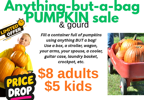 Pumpkin fill a vehicle.pptx.png