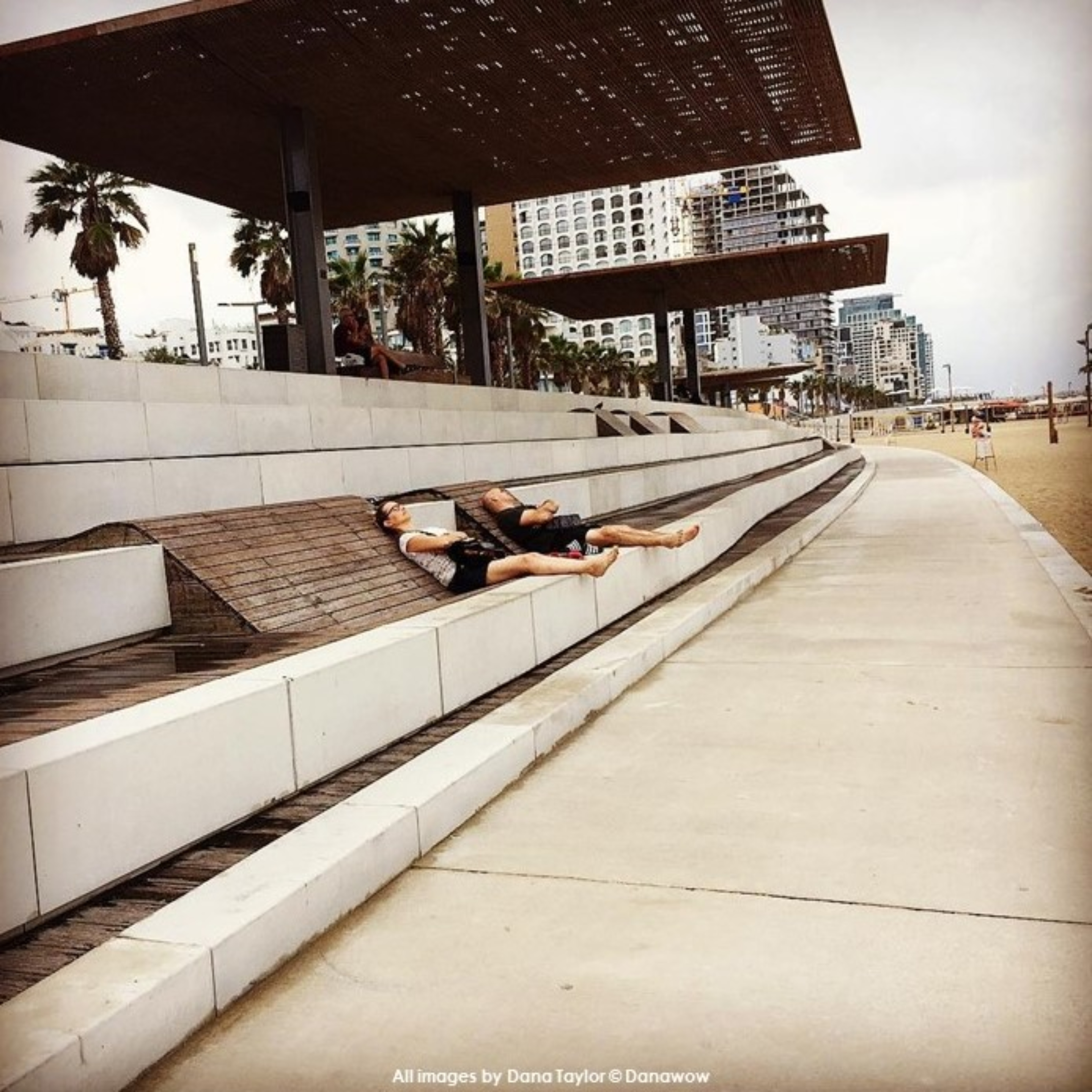 Sleeping Rough by Dana Taylor