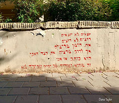 על הדרך דנה טיילור