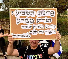ים שלטים דנה טיילור