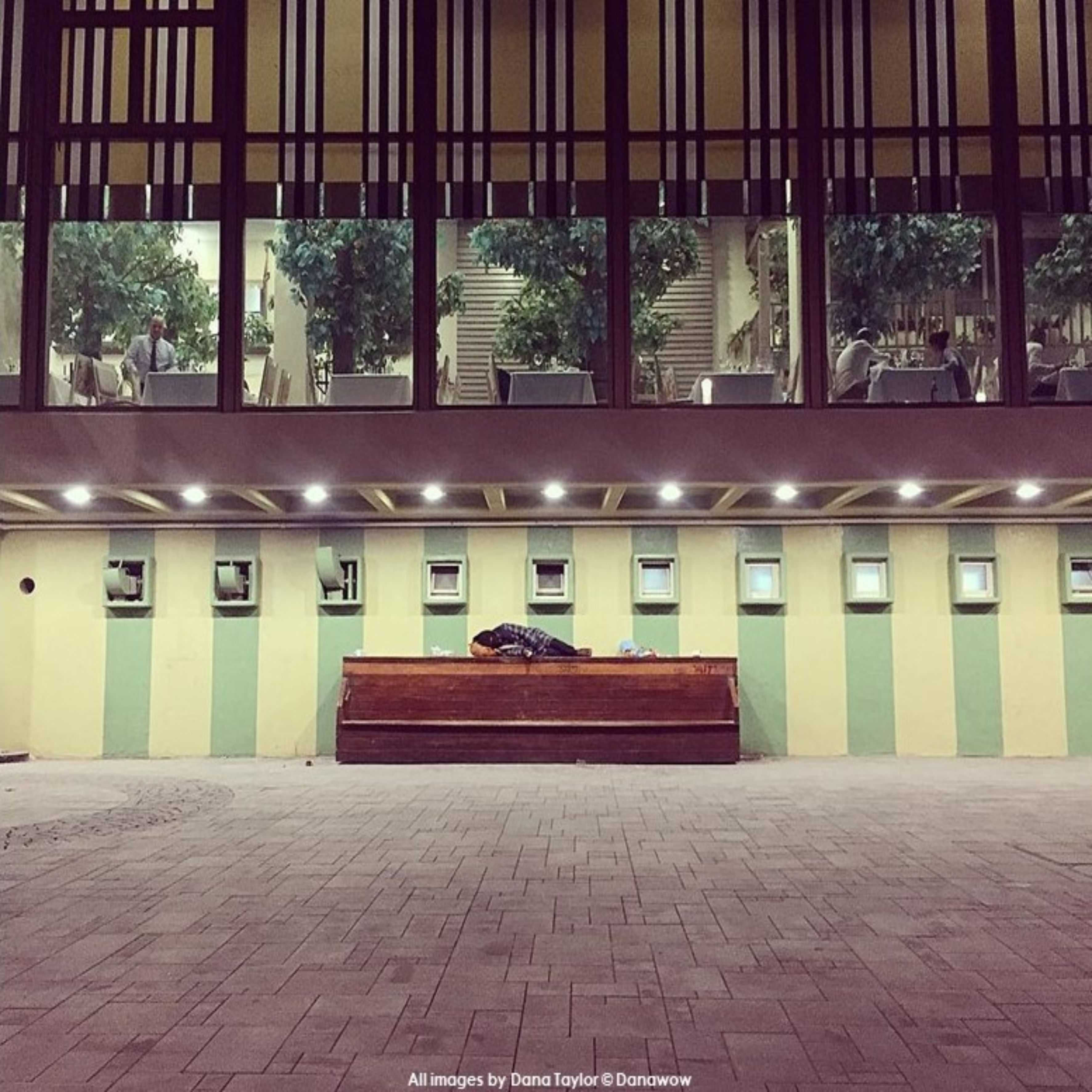 Sleeping Rough by Dana Taylor