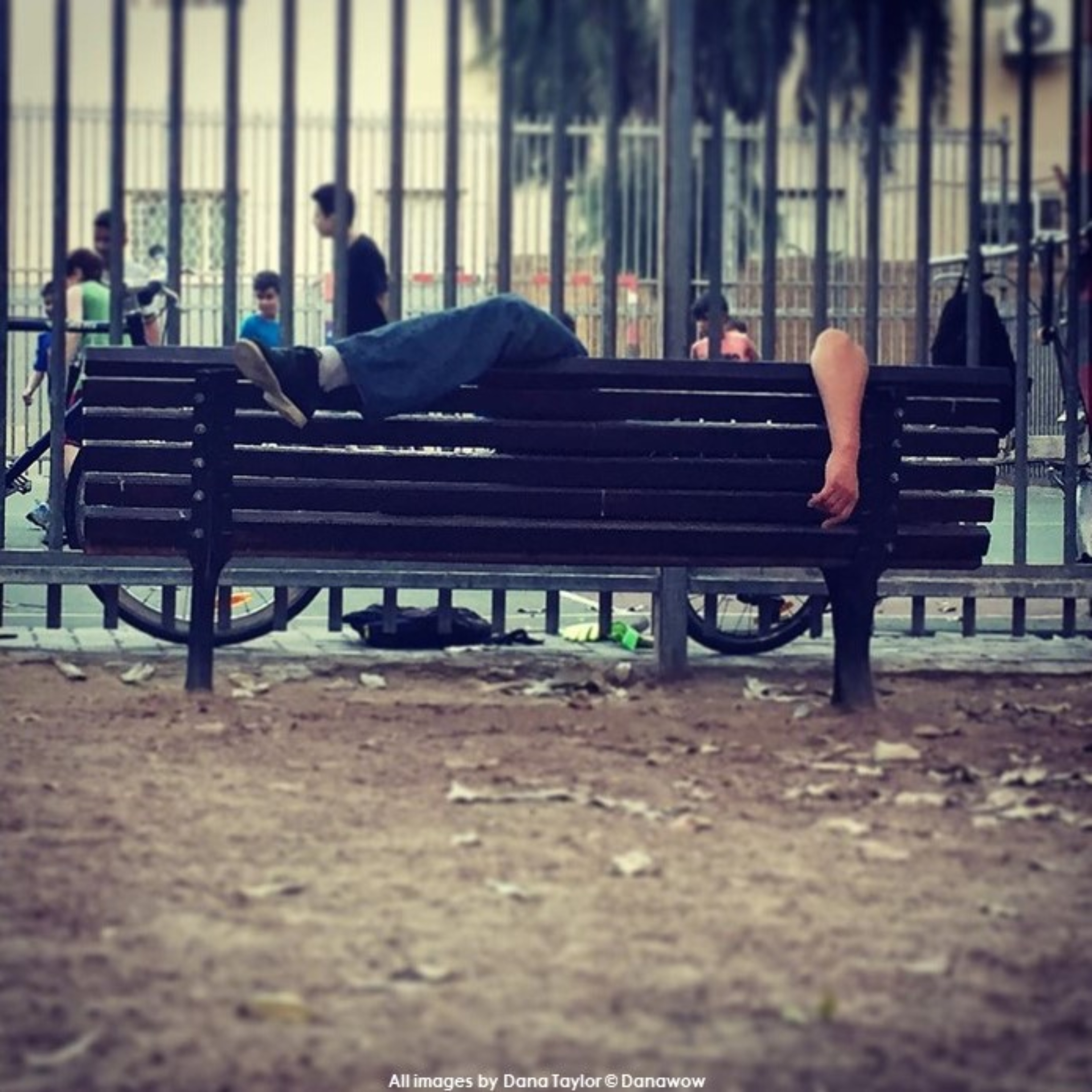 Sleeping Rough by Dana Taylor