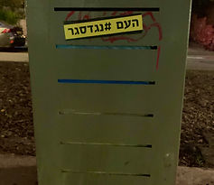 על הדרך דנה טיילור
