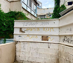 על הדרך דנה טיילור