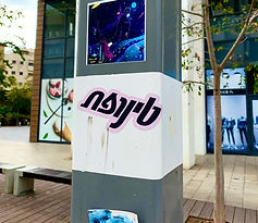 על הדרך דנה טיילור