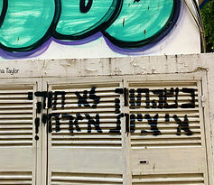 על הדרך דנה טיילור