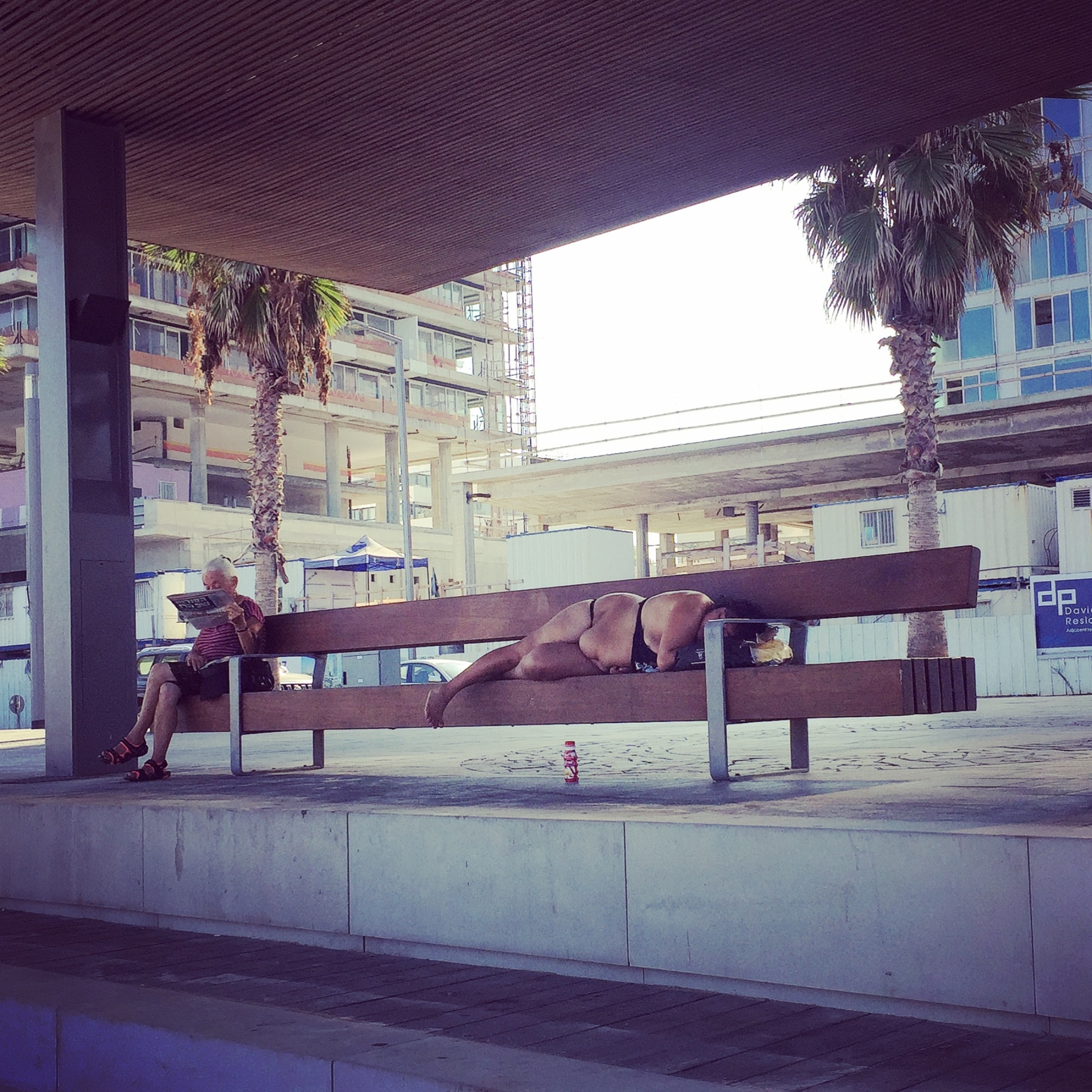 Sleeping Rough by Dana Taylor