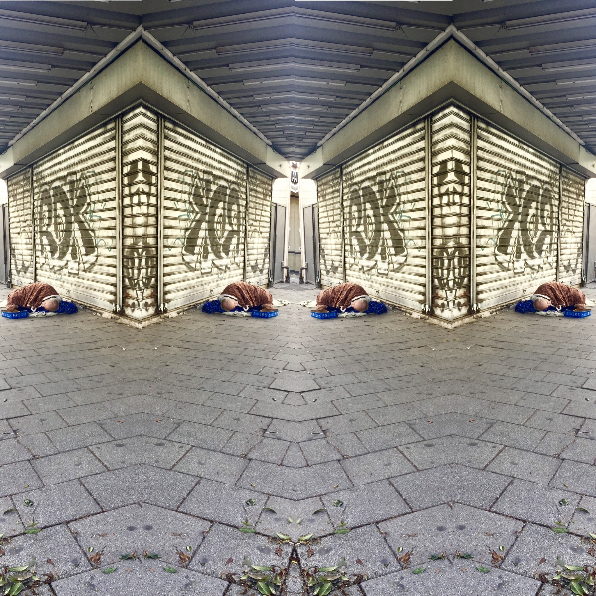 Sleeping Rough by Dana Taylor