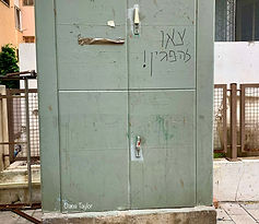 על הדרך דנה טיילור