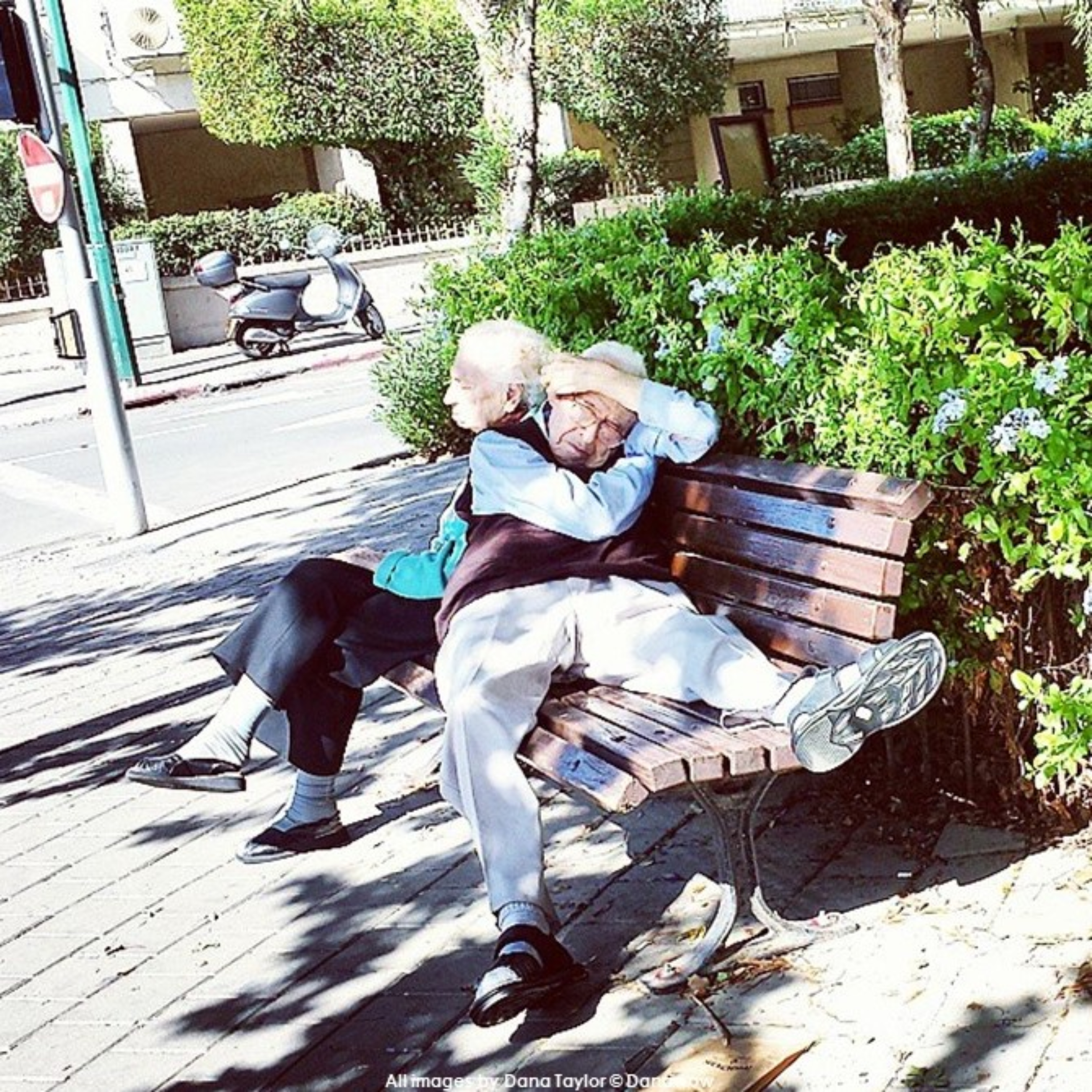 Sleeping Rough by Dana Taylor