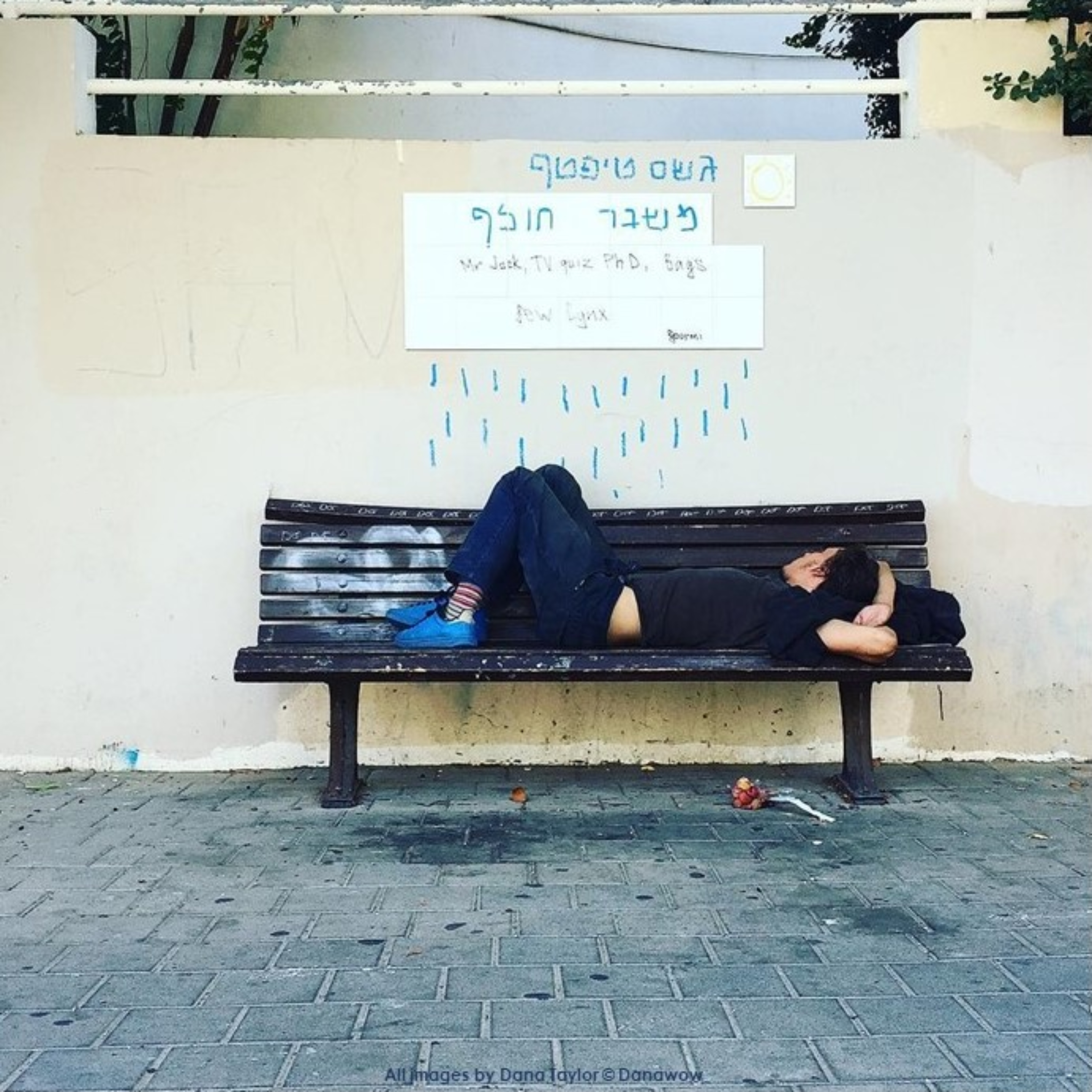 Sleeping Rough by Dana Taylor
