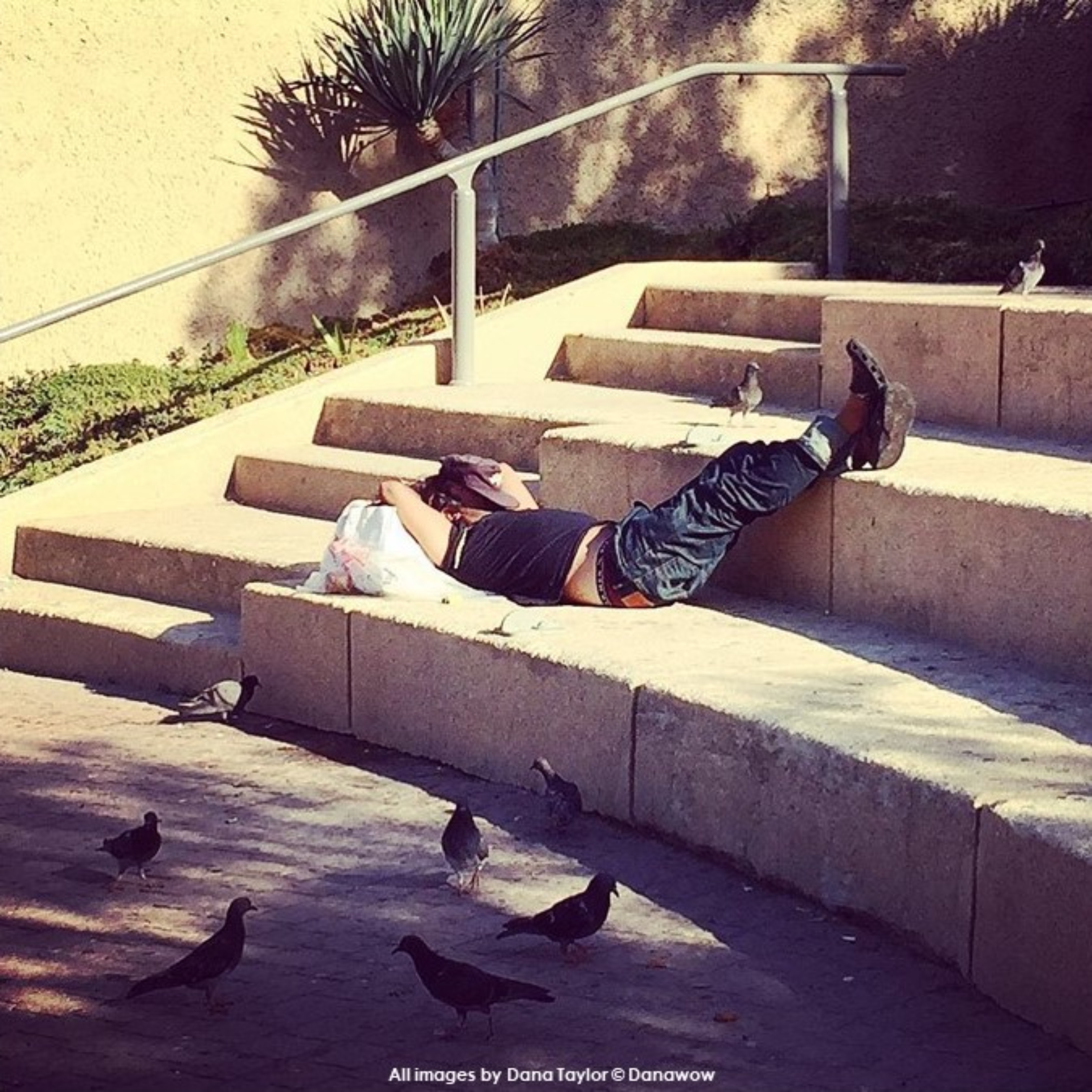 Sleeping Rough by Dana Taylor