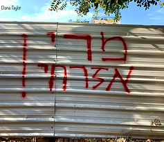 על הדרך דנה טיילור