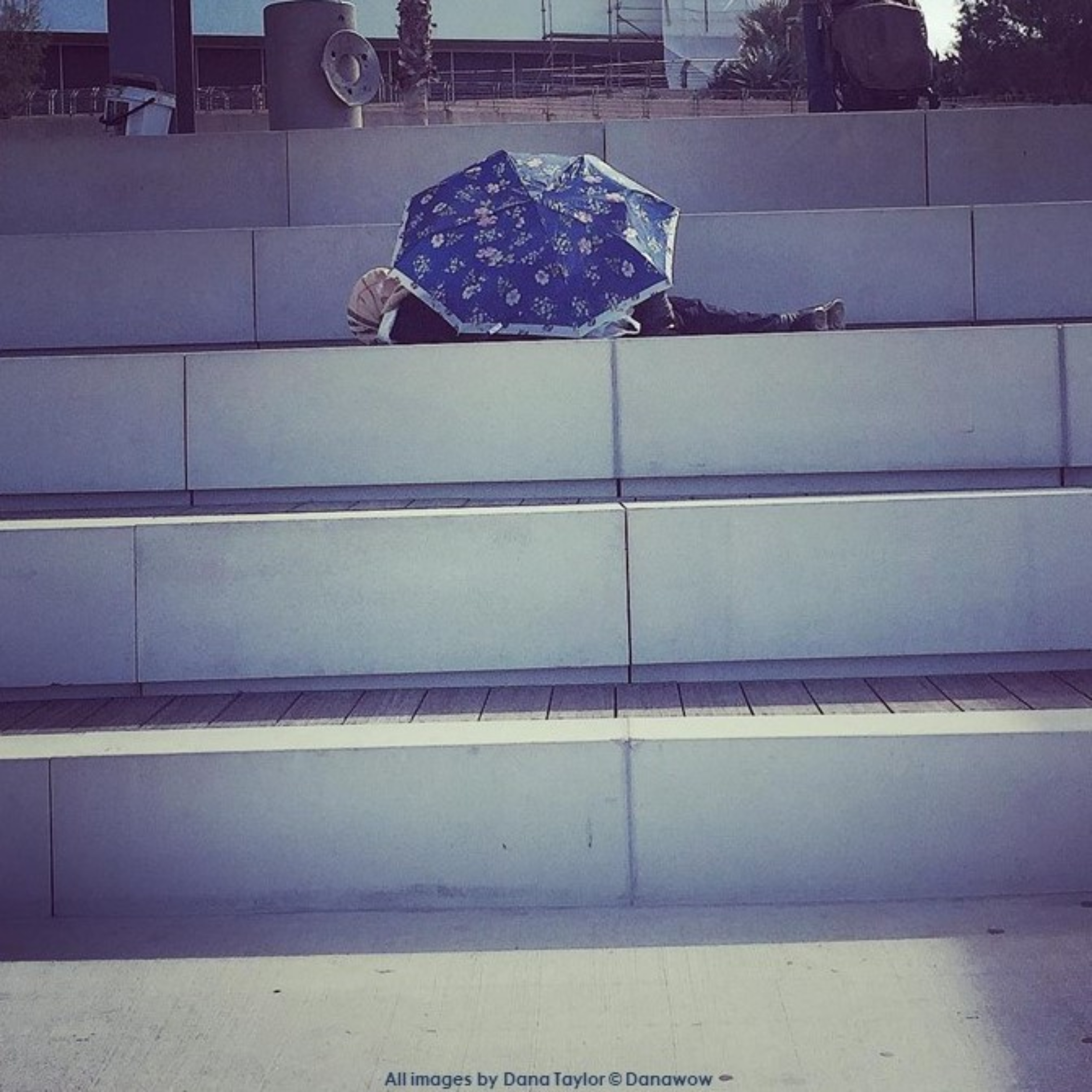 Sleeping Rough by Dana Taylor