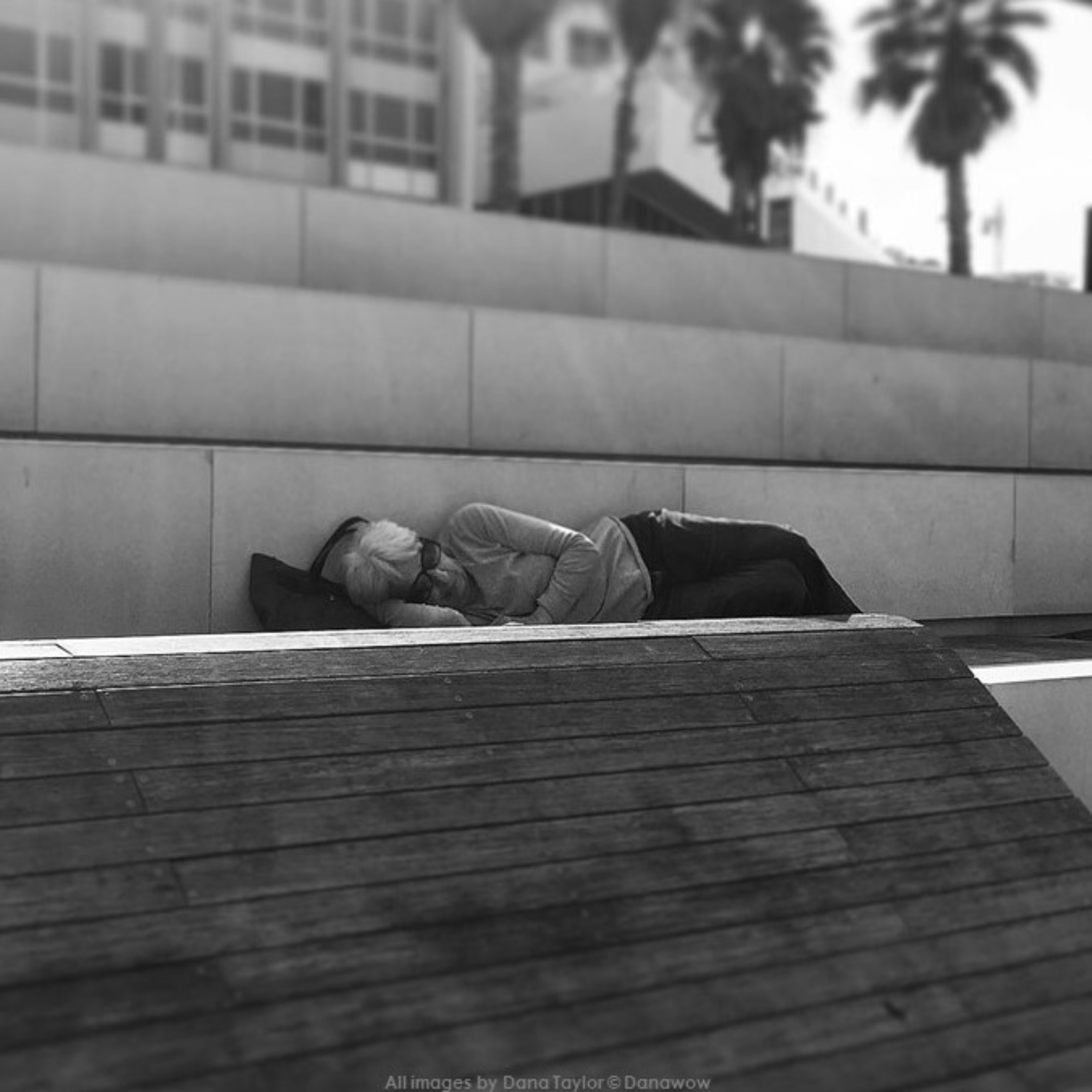 Sleeping Rough by Dana Taylor