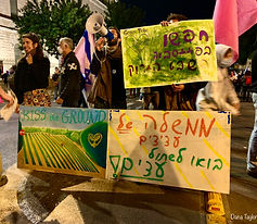 ים שלטים דנה טיילור