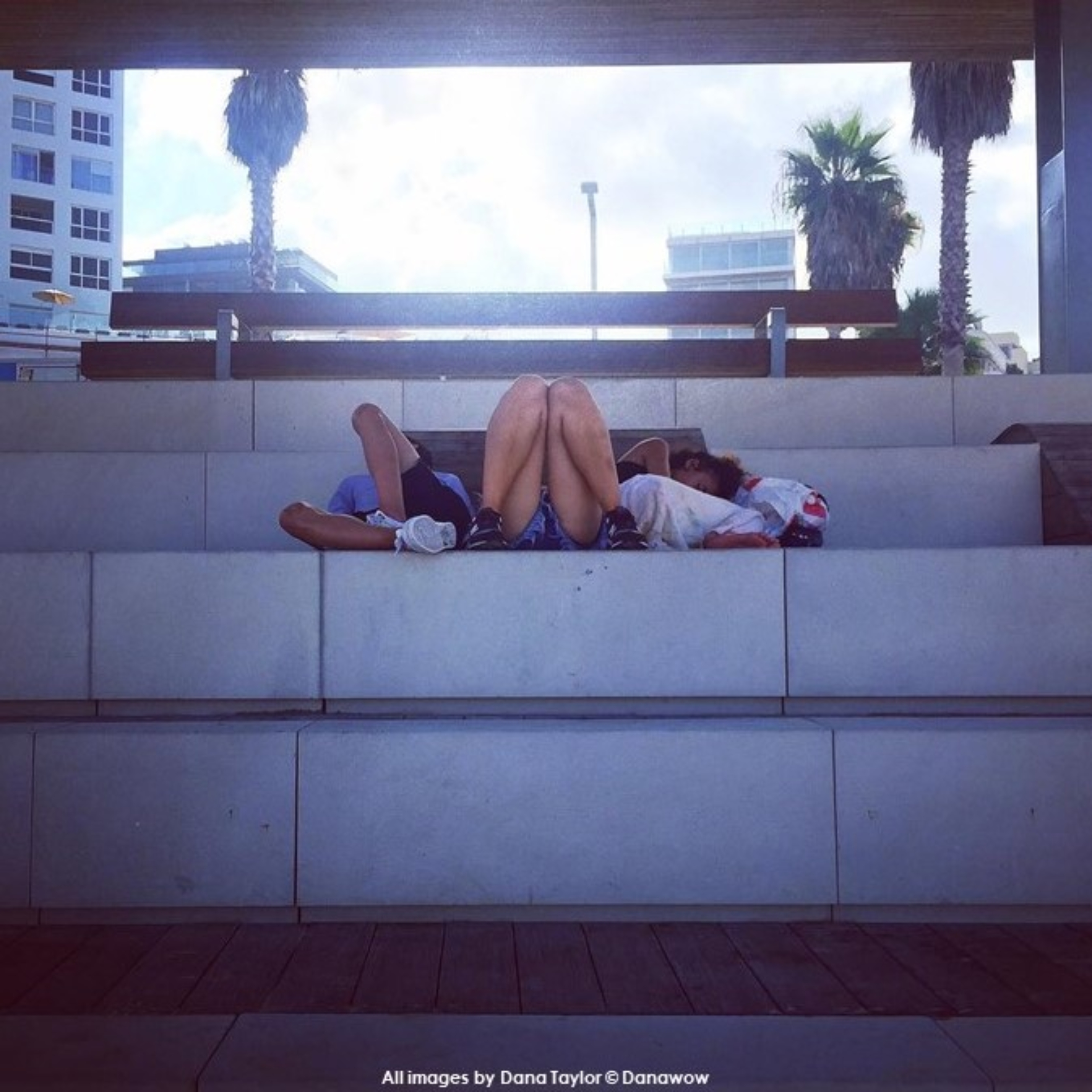 Sleeping Rough by Dana Taylor