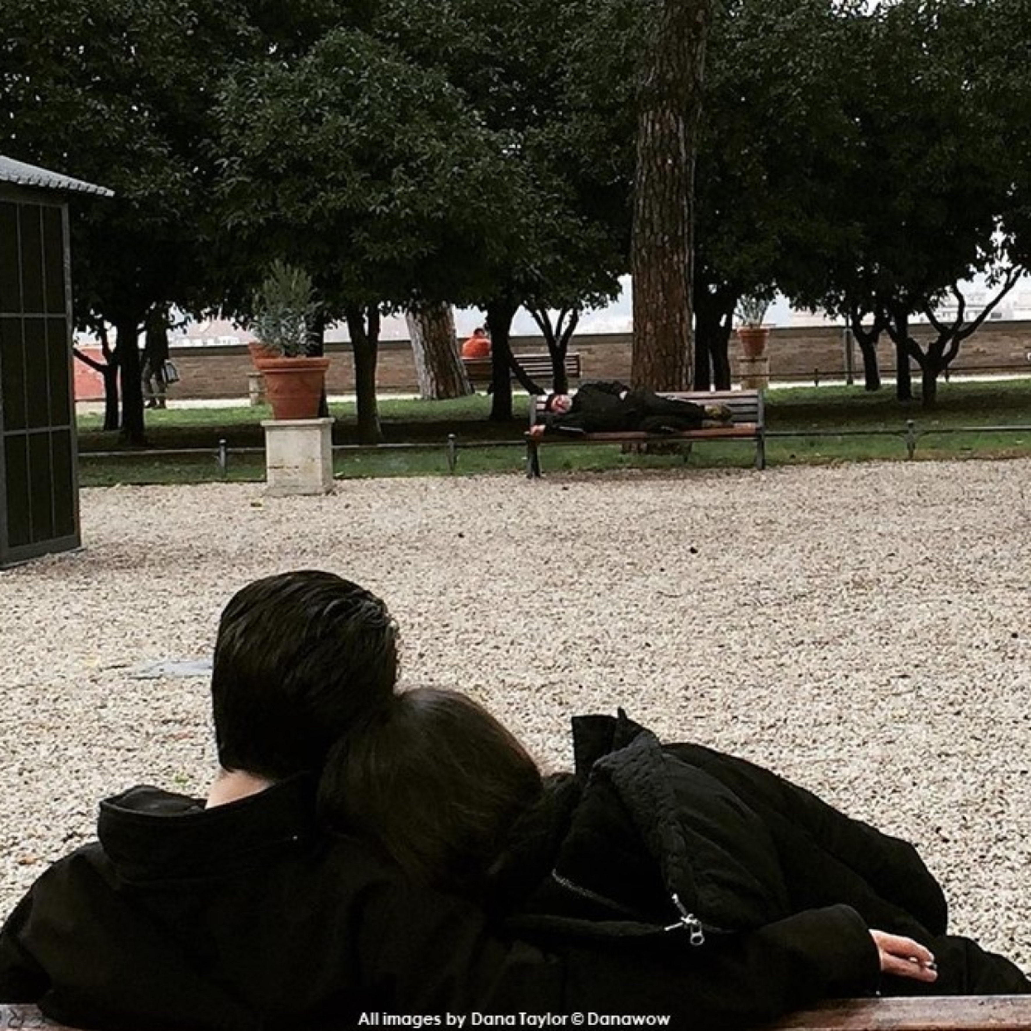 Sleeping Rough by Dana Taylor