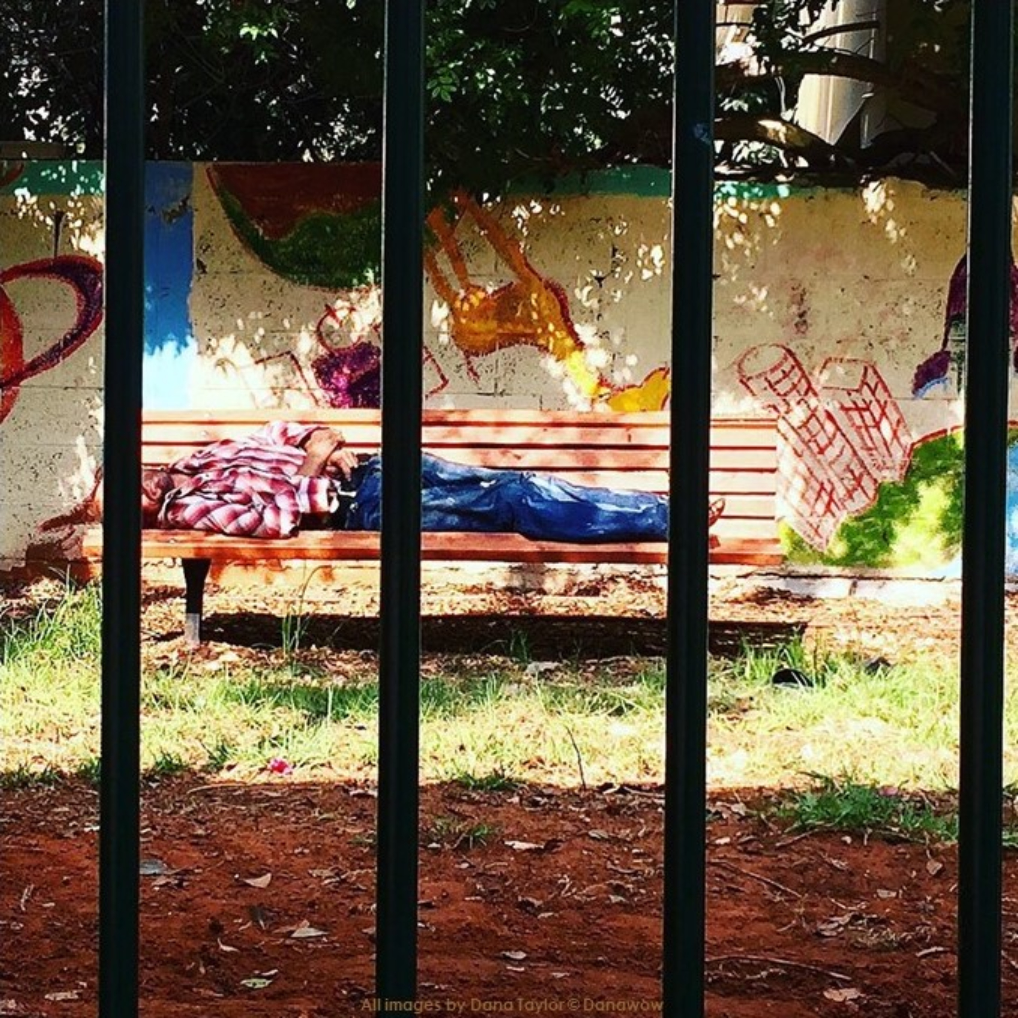 Sleeping Rough by Dana Taylor