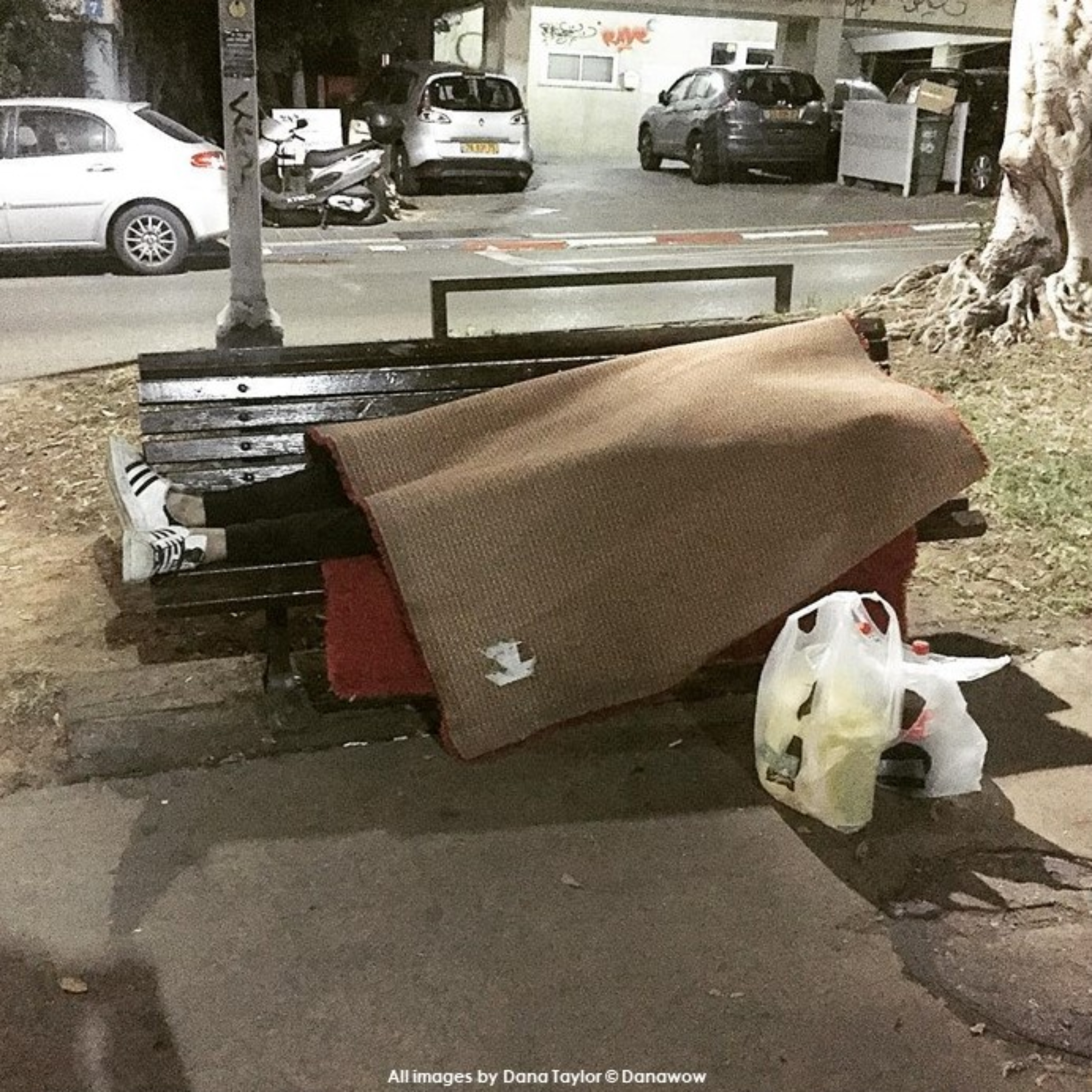 Sleeping Rough by Dana Taylor