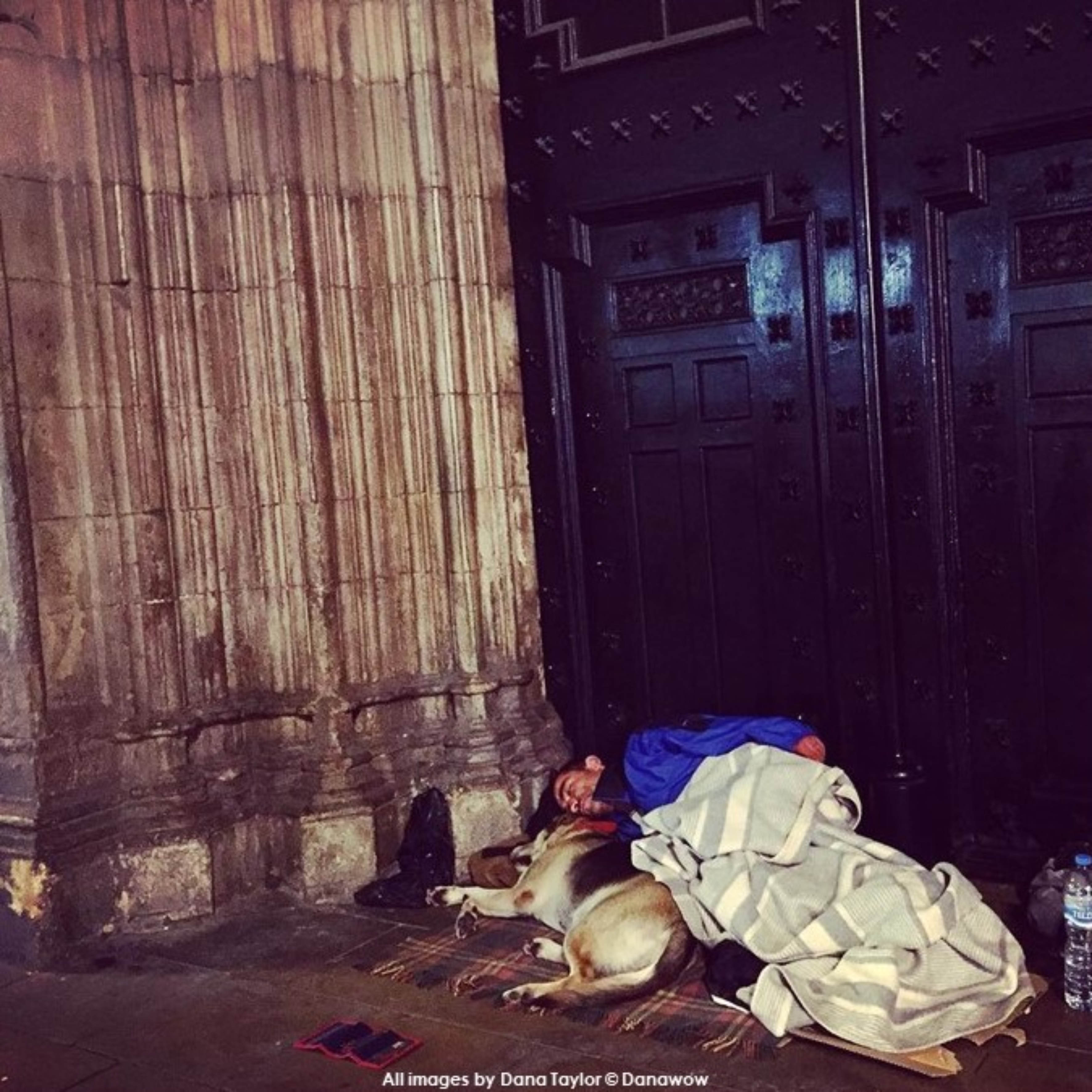 Sleeping Rough by Dana Taylor