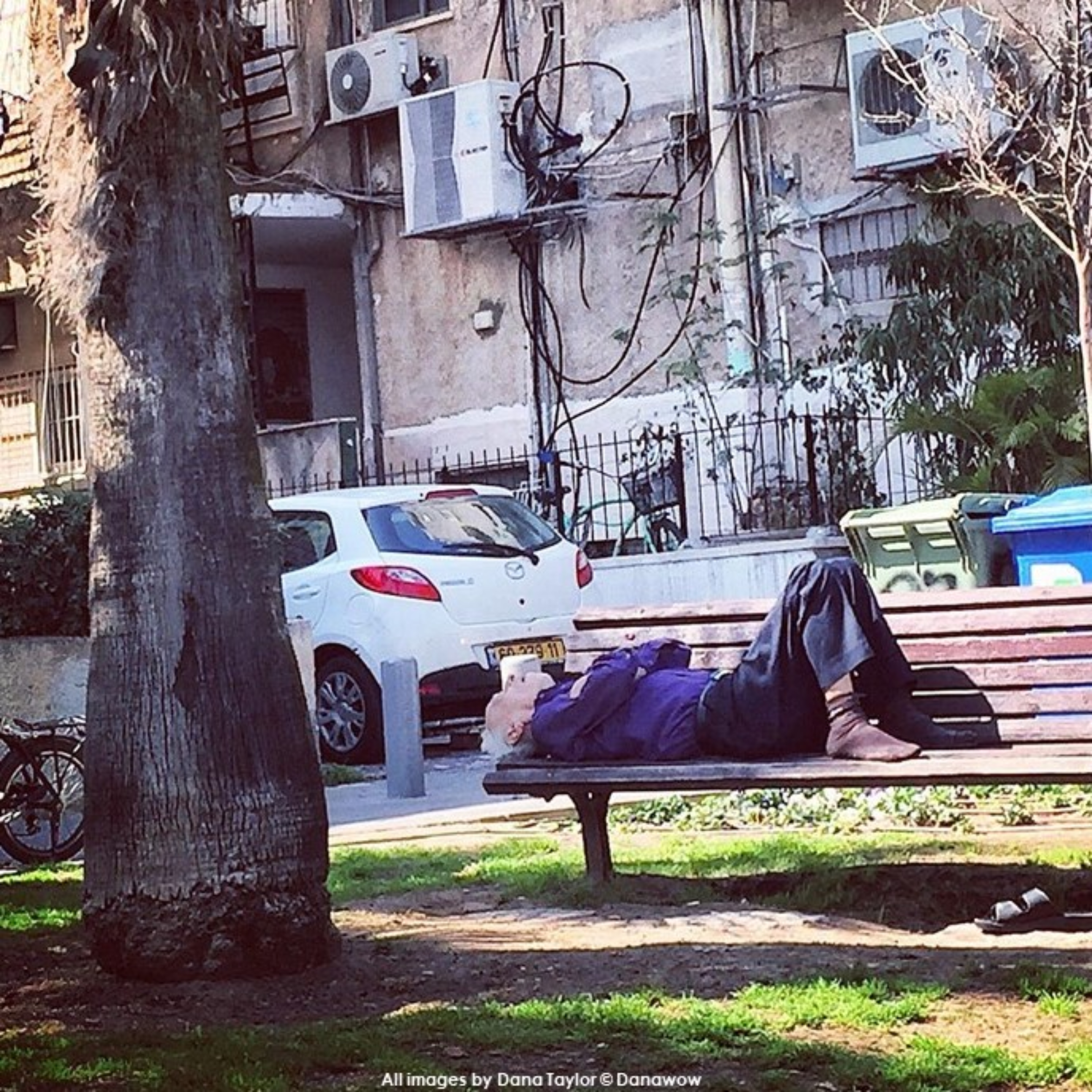 Sleeping Rough by Dana Taylor