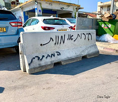 על הדרך דנה טיילור