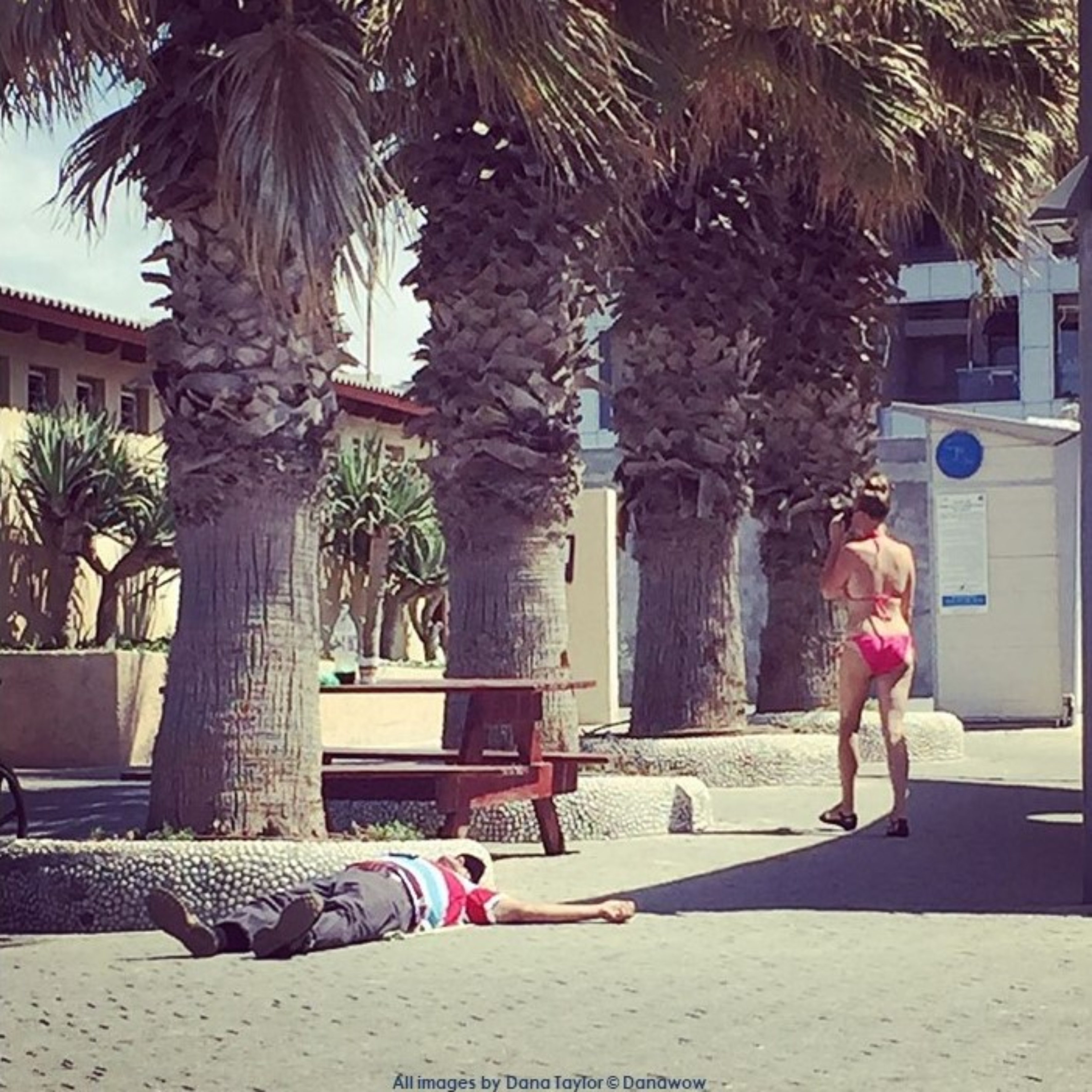Sleeping Rough by Dana Taylor