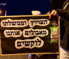 ים שלטים דנה טיילור