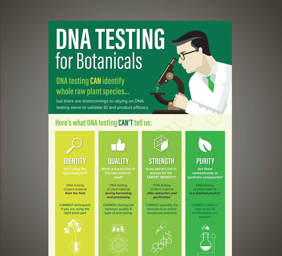 Botanica_Infographic.jpg