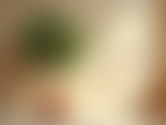 Shop Online for Texas Native Trees