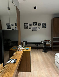 OTEL4.jpg