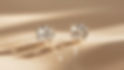 AdobeStock_867260245.jpeg