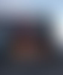 Black by day, white by night