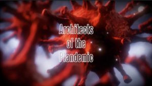 Architects of the Plandemic