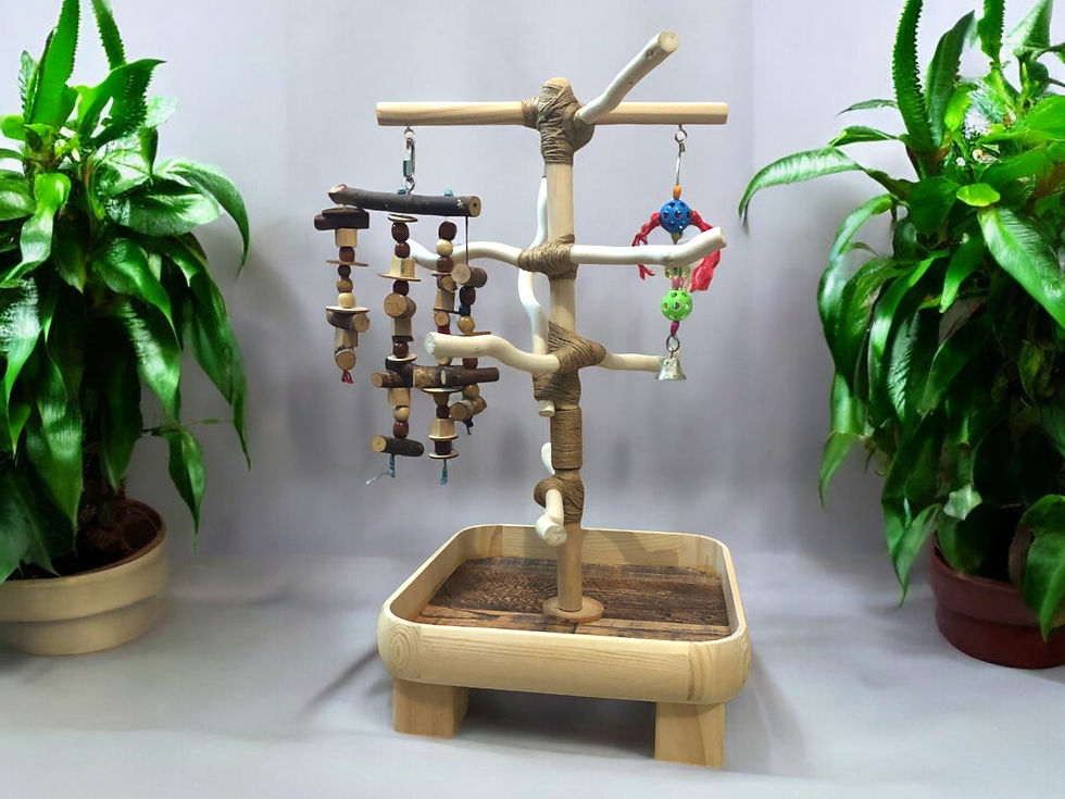 Thumbnail: Custom 1.5 ft stand with Toy Ladder