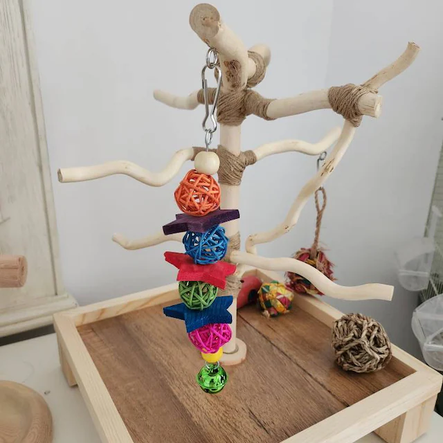 Thumbnail: Standard One-foot Bird Play-stand, Training, Budgie, Cockatiel, Conure