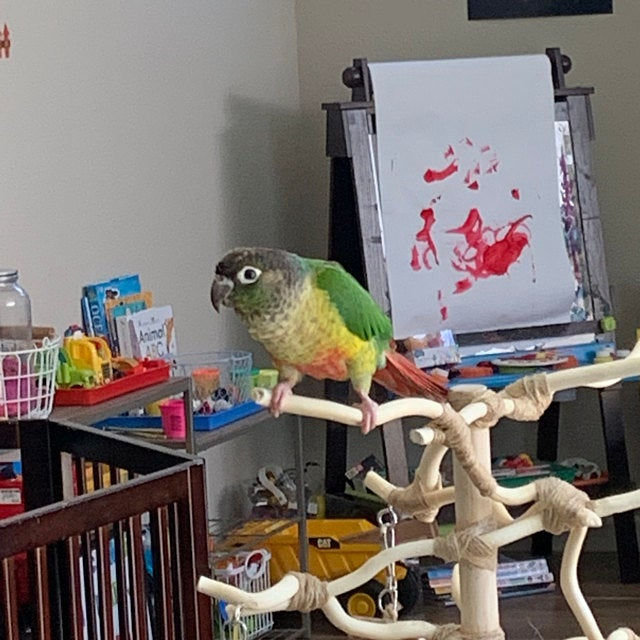 Thumbnail: Custom One ft. stand with Deep Base