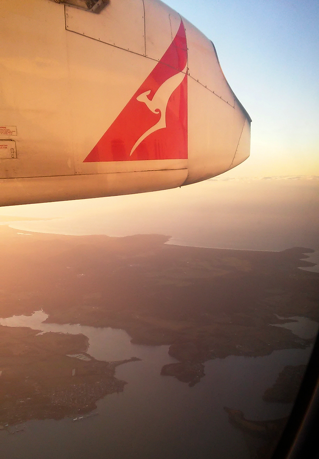 Tasmania from a plane
