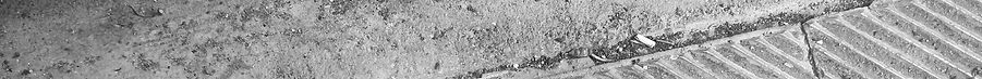 IMG_20230617_145734_edited.jpg