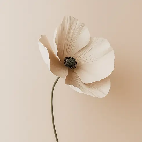 064.webp