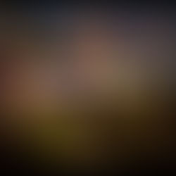 조이풀 가을소풍 스케치